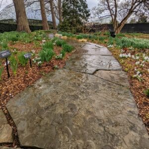 A photo of a flagstoned garden path
