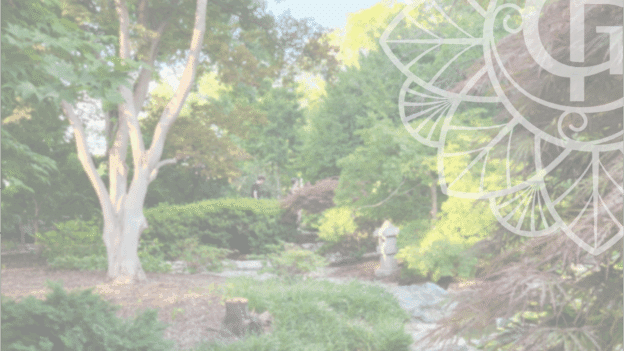 A peaceful scene from a Japanese garden in summer, with the GracefulDev logo superimposed